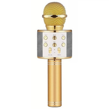 Μικρόφωνο Καραόκε Bluetooth Με Ηχείο 5W WS-858 ΧΡΥΣΟ