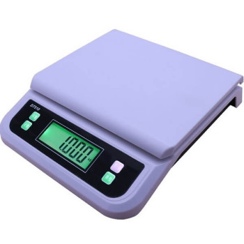 Επαγγελματική Ζυγαριά 30kg/1gr