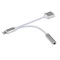 Αντάπτορας lightning αρσενικό σε jack 3.5mm θηλυκό και lightning θηλυκό