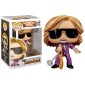 Funko POP Rocks Aerosmith - Steven Tyler 172 Vinyl Figure