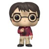 Funko POP Harry Potter 20th Anniversary - Harry with the Stone (2001)