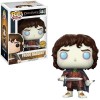Funko POP Movies The Lord of the Rings - Frodo Baggins 444 GITD Chase Vinyl Figure