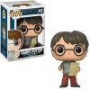 Funko POP Harry Potter - Harry Potter 42 Vinyl Figure