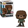 Funko POP Movies Universal Studios Monsters - The Wolf Man 1153 Vinyl Figure Special Edition Exclusive