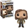 Funko POP Harry Potter - Sirius Black 16 Vinyl Figure