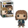 Funko POP Movies The Lord of the Rings - Pippin Took 530 Vinyl Figure