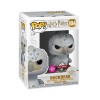 Funko POP Harry Potter - Buckbeak Flocked 104 Vinyl Figure Special Edition