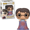 Funko POP Harry Potter - Harry Potter 112 Vinyl Figure