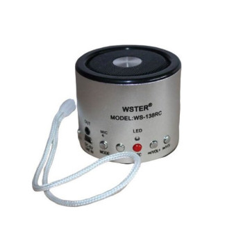 Φορητό Ηχείο WS-138RC με microSD/USB Player και Ραδιόφωνο - Ασημί