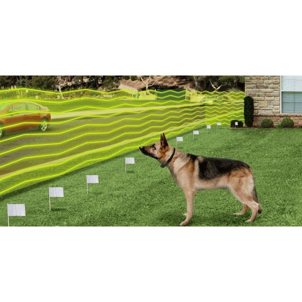 Ηλεκτρονικό Σύστημα Περίφραξης & Αποτροπής Απομάκρυνσης Σκύλων - Κατοικίδιων